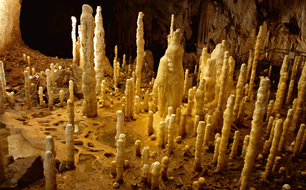 http://scienceillustrated.com.au/blog/wp-content/uploads/2012/05/stalagmite.gif