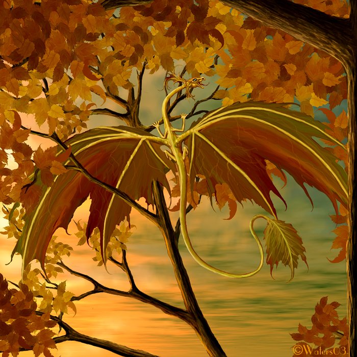 Michael Waters - Autumn Maple Leaf Dragon